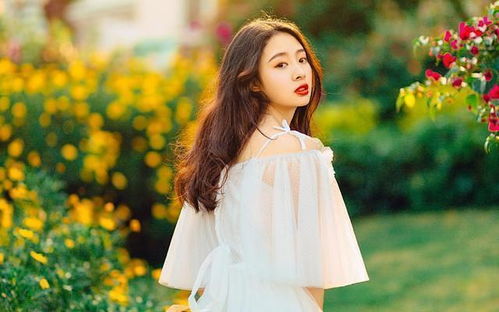 �¾�33��hcg261