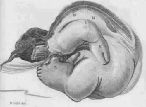 �¾�������ʲôҩ���Ե��⣿��ҩʩ��Ч����