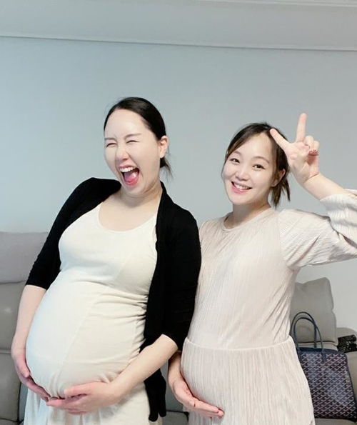 ���¾��ܺȺ����(���¾��ɺȺ����)