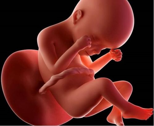 Ů��ɶʱ�����¾�_Ů��ʲôʱ������