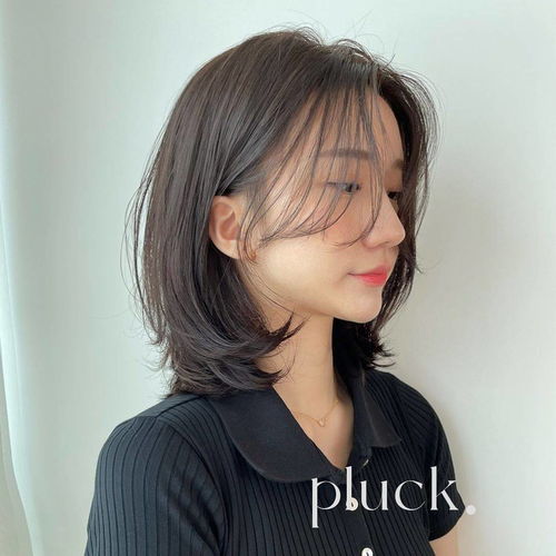 ����ʹ��С˵�½� ʹ������С˵Ƭ�ΰ�